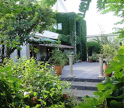 Italian dining ELEGANCE